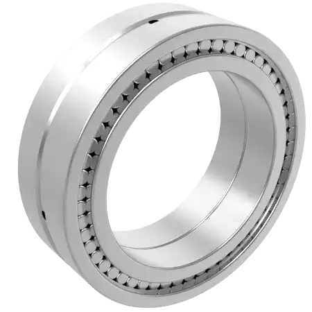 Special-purpose cylindrical roller bearings