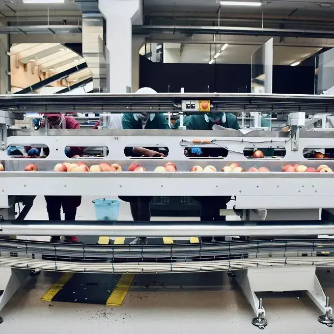 Food Machinery